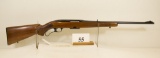 Winchester, Model 88, Lever Rifle, 243 cal,