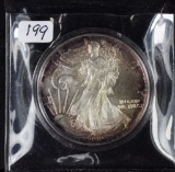 2005 - SILVER EAGLE - TONED