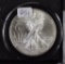 1996 - Silver Eagle - Key Date