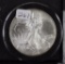 2001 - Silver Eagle