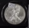 2008 - Silver Eagle