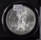 2015 - Silver Eagle