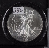 2015 - Silver Eagle