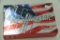 1 Box of 20, Hornady American Whitetail 270 win