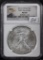 2013 NGC MS69 FIRST STRIKE - SILVER EAGLE