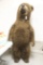 German Steiff Studio Large Brown Bear, 6 ft Foot