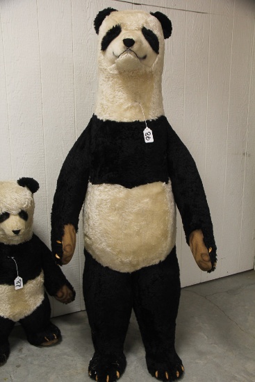 steiff studio bear