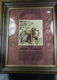 THE AMERICAN INDIAN HEAD CENT COLLECTION IN FRAME - 10 COINS