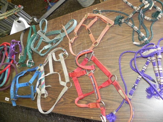 Assortment of horse tack