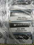 Federal 243 Winchester ammunition