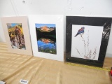 3 Randall K Robert's signed numbered limited edition photographs