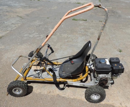 Ty Rod IV 5.5 HP go cart with roll cage.