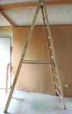 Werner 7210 10' fiberglass ladder.