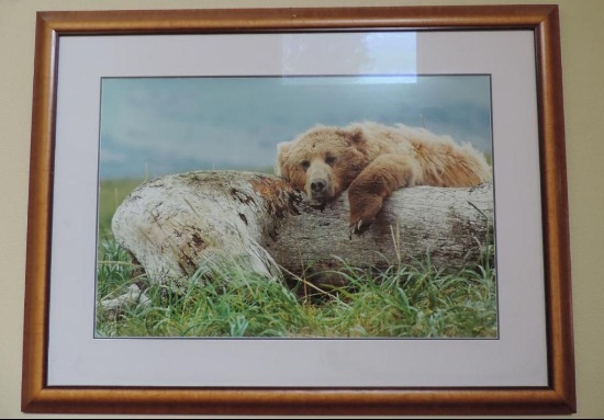 High $ 2001 60"x45" Thomas Manglesen (Life's a bear) Hand signed limited edition.