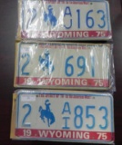 Three sets of 1975 Wyoming License Plates.