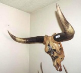 Hand painted cow skull.