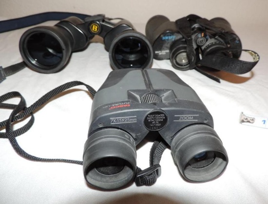 Bushnell, Audubon and Tasco binoculars lot.