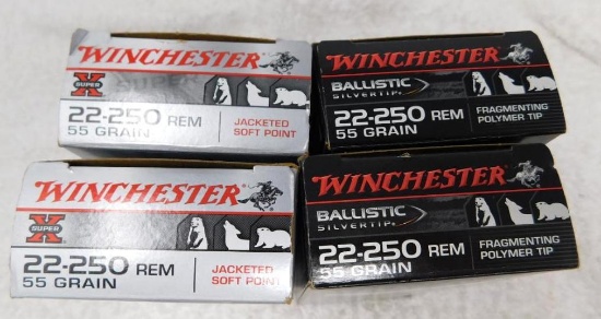 Winchester 22-250 ammunition
