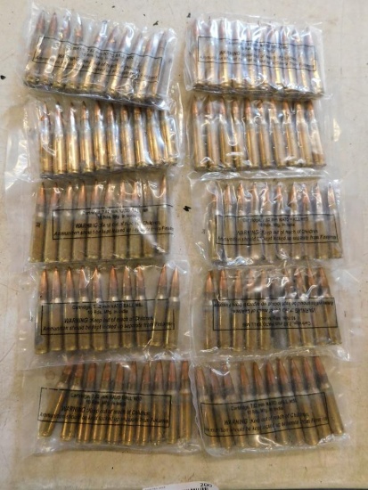 7.62X51 ammunition