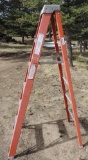 Keller 6' ladder.