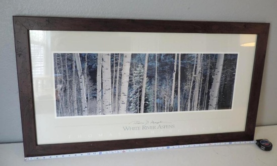2001 Thomas Mangelsen White River Aspens framed print.