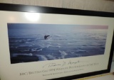 1995 Thomas Mangelsen framed poster.