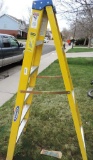 Werner 6' ladder.