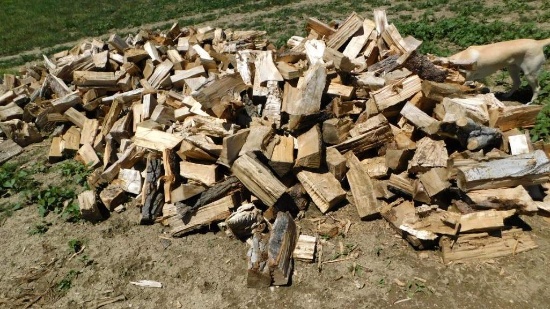 Firewood