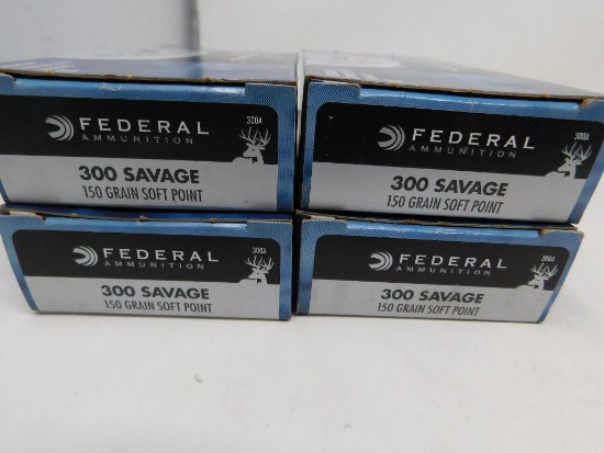 300 Savage ammunition