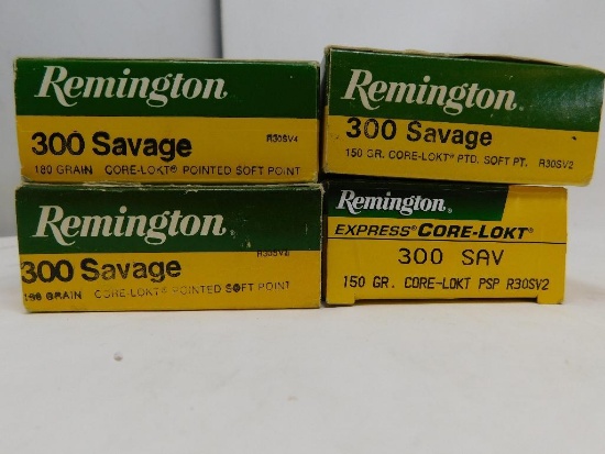 300 Savage ammunition