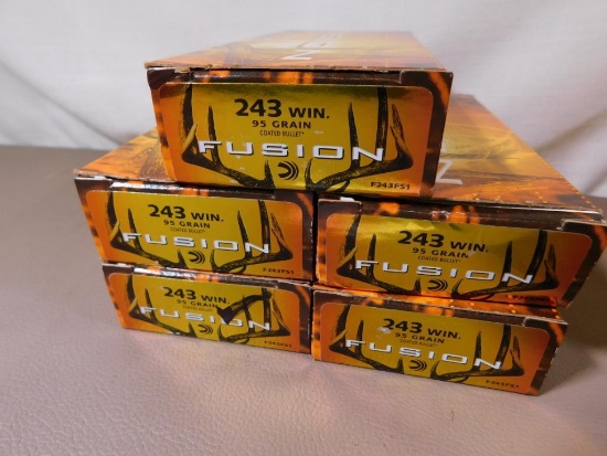 Federal 243 Winchester ammunition