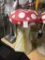 Mushrooms - Giant #1