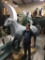 Life size Gray Arabian Horse