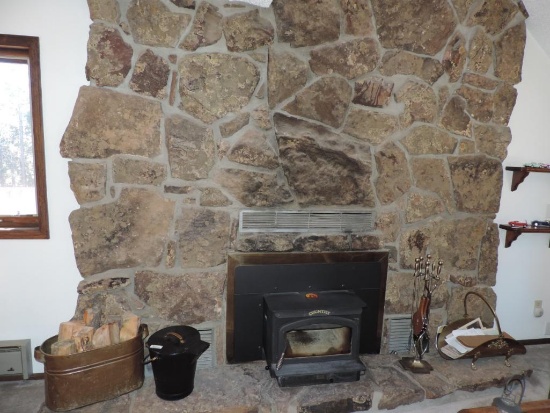 Contents of fireplace.