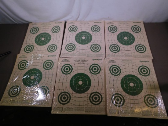 Remington Sight in targets