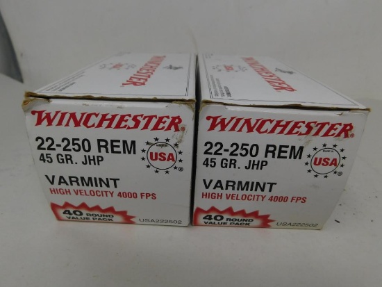 22-250 Ammunition