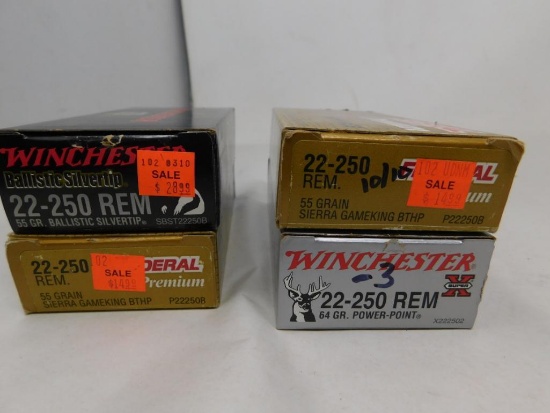 22-250 Ammunition