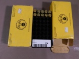 45 ACP ammunition