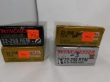 22-250 Ammunition