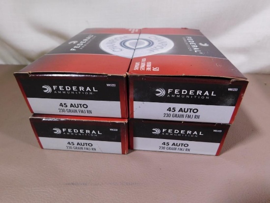 45 ACP ammunition