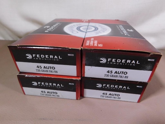 45 ACP ammunition