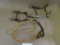 Two Good horse bits