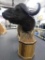 Cape buffalo shoulder mount on display