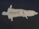 Arctic fox pelt