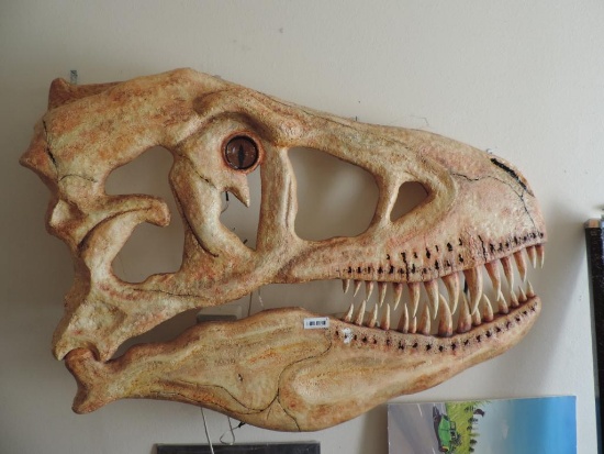 52x36" Hand Made foam T-Rex.