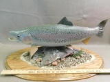 Monster Lake trout taxidermy