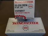 Winchester 22-250 Rem 45 Gr. JHP Ammo