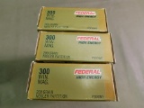Federal Premium 300 Winchester magnum ammunition
