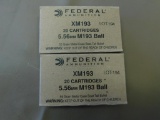 Federal 5.56 Ammo