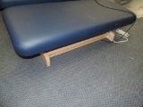 Oakworks performalift massage chair.